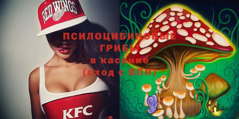 Галлюциногенные грибы MAGIC MUSHROOMS  Красноярск 